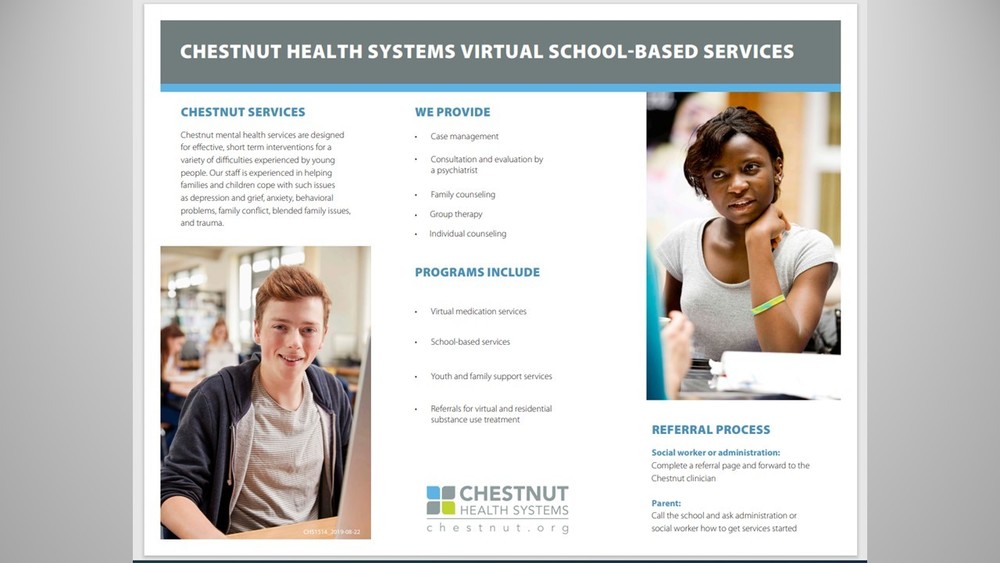 Chestnut Health Systems