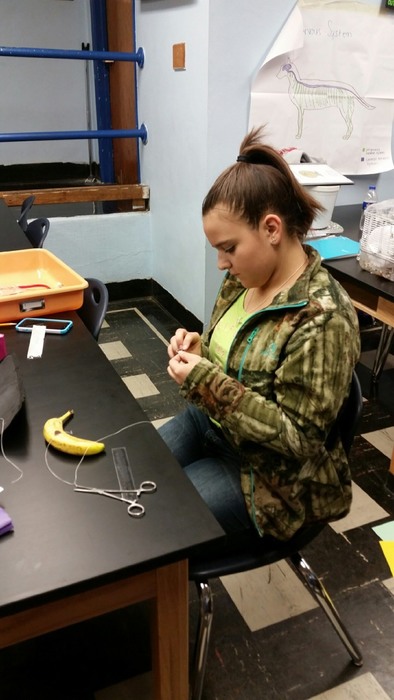 Shelly preparing her sutures.